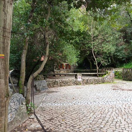 Moinho Das Fragas Figueiro Dos Vinhos Buitenkant foto