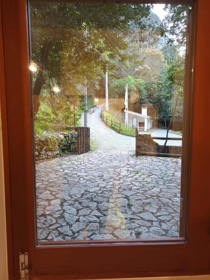 Moinho Das Fragas Figueiro Dos Vinhos Buitenkant foto